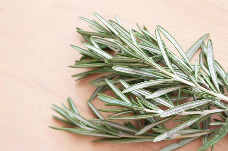 Herb Garden Bundles
