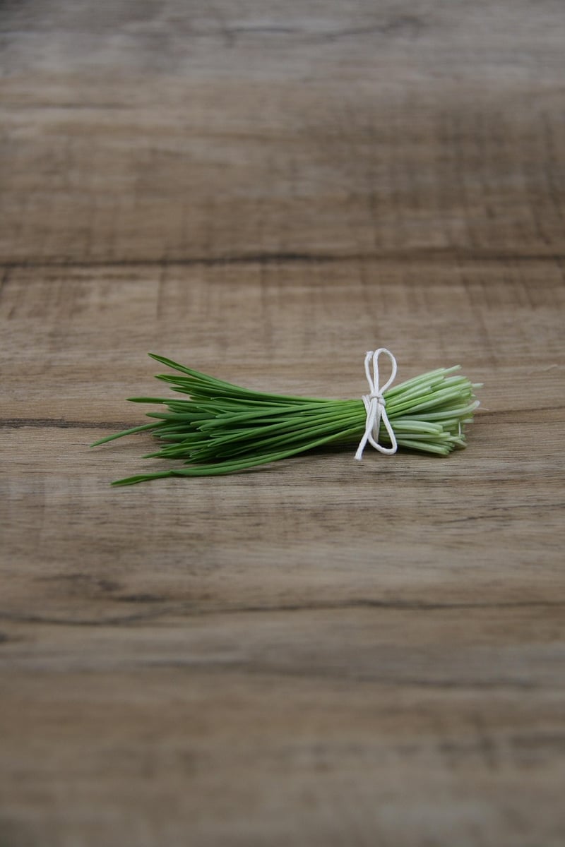 Microgreens Kits